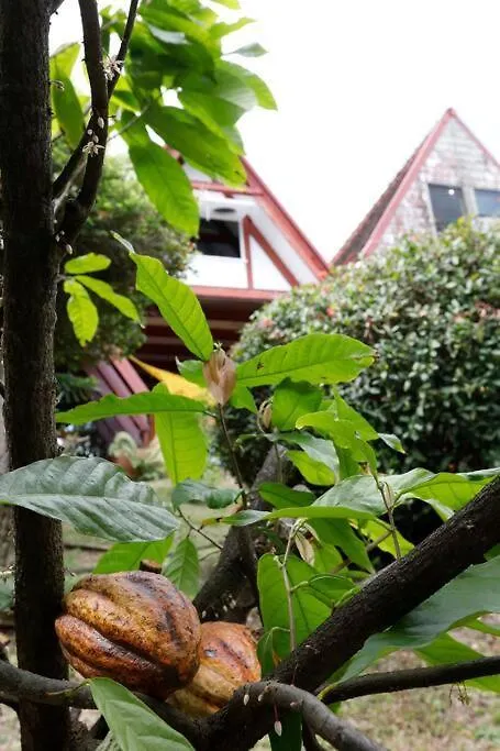 La Baignoire Sur Le Toit 7 A 8 Personnes Villa La Trinité